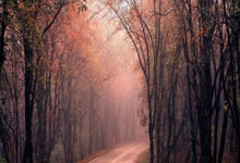 开云体育平台APP-葡萄牙队险胜英格兰队，梁靖崑点燃赛场