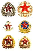 关于八一队迎来胜利，全队齐心协力的信息