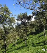 黑山壮举出击,晋级之路坎坷 黑山壮举出击,晋级之路坎坷